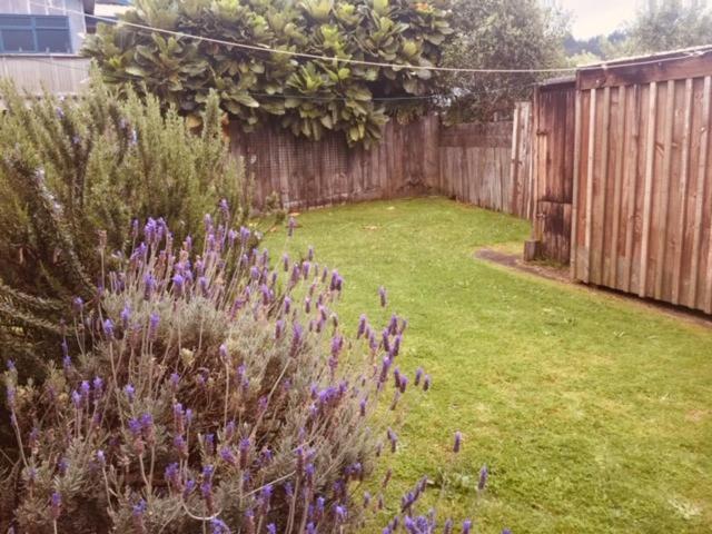 Mollies Place - Waihi Beach Holiday Unit Extérieur photo